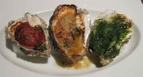 oysters oysters