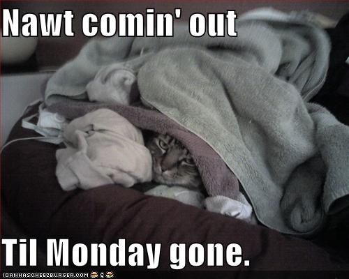 Not Coming Out