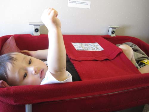 bassinet bassinet