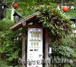 beer vending machine