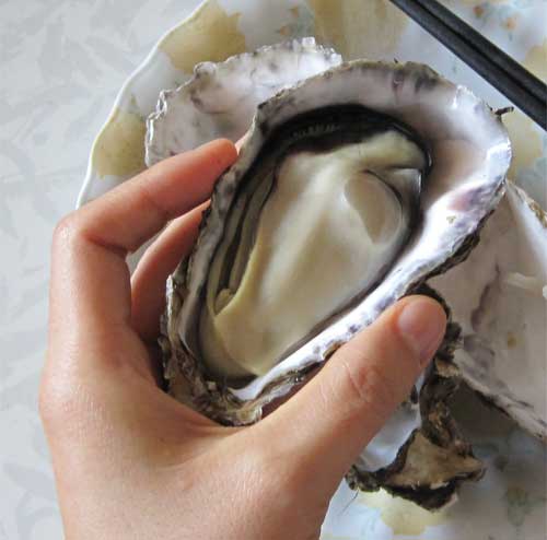 Mukai oysters