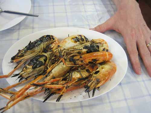 grilled fresh king prawns