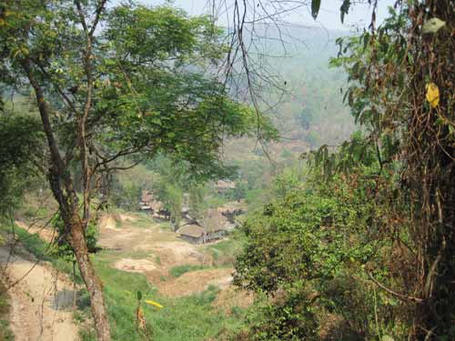 Maesa Elephant Camp: view