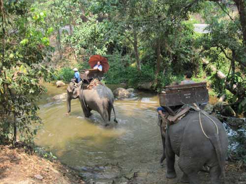 Maesa Elephant Camp: stream