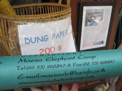 Maesa Elephant Camp: elephant dung paper