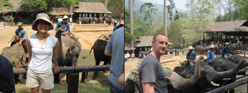 Maesa Elephant Camp: Hero Material, Nadia Lee and elephants