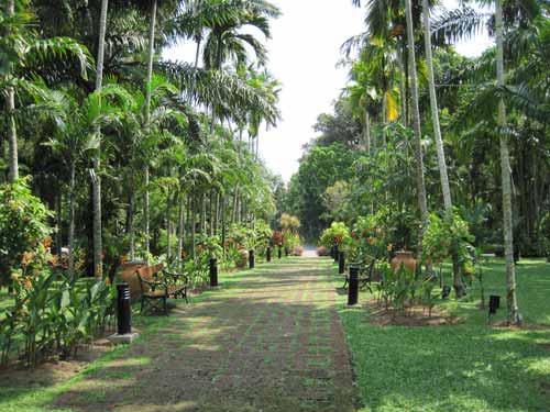 Le Meridien Phuket Beach Resort compound