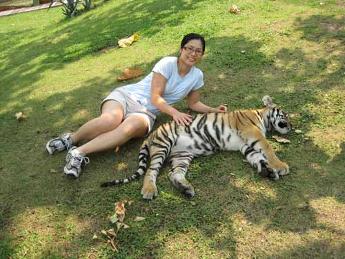 Tiger Kingdom: Nadia Lee and tiger