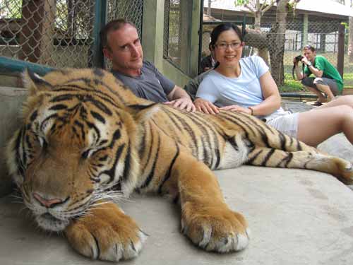Tiger Kingdom: Hero Material, Nadia Lee and Meatball