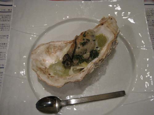 oyster